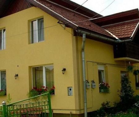 Pensiunea Bio Coltau Bagian luar foto